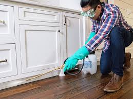 Best Pest Control for Multi-Family Homes  in Markham, IL